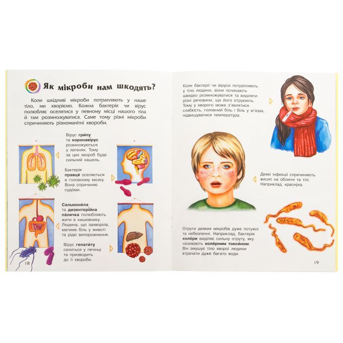Книга Мікроби. Енциклопедія дошкільника - Юлія Каспарова Ранок (9786170988959) зображення 4