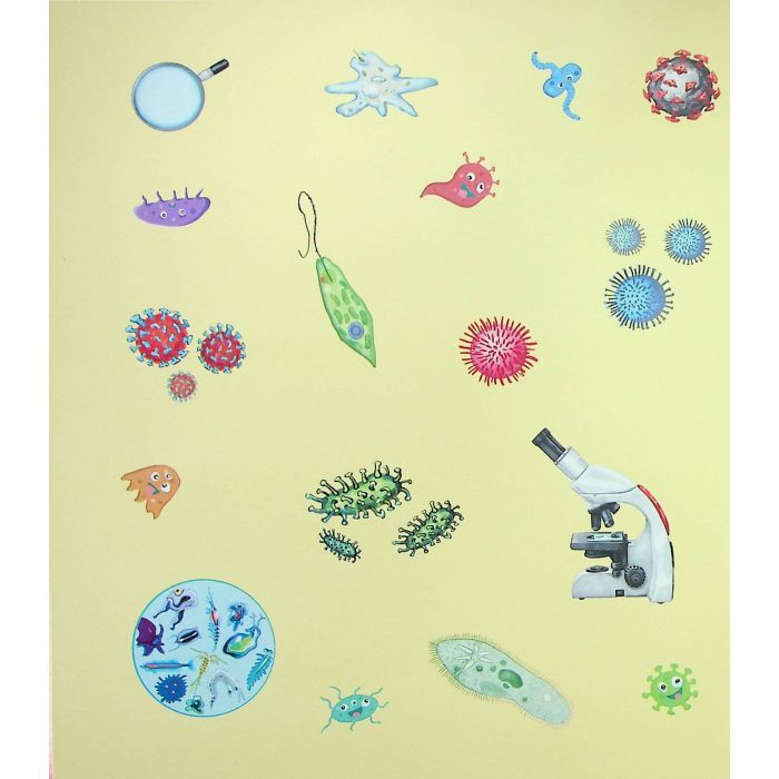 Книга Мікроби. Енциклопедія дошкільника - Юлія Каспарова Ранок (9786170988959) зображення 9
