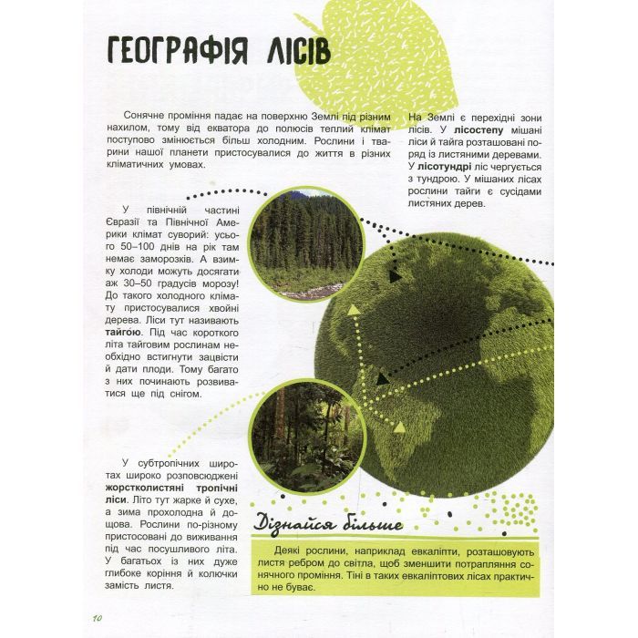 Книга Світ і його таємниці. Життя лісу. Енциклопедія - Г.В. Стороженко Ранок (9786170944399) изображение 11