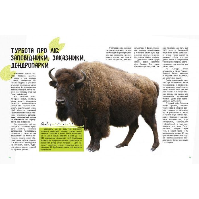 Книга Світ і його таємниці. Життя лісу. Енциклопедія - Г.В. Стороженко Ранок (9786170944399) изображение 2