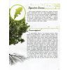 Книга Світ і його таємниці. Життя лісу. Енциклопедія - Г.В. Стороженко Ранок (9786170944399) изображение 8