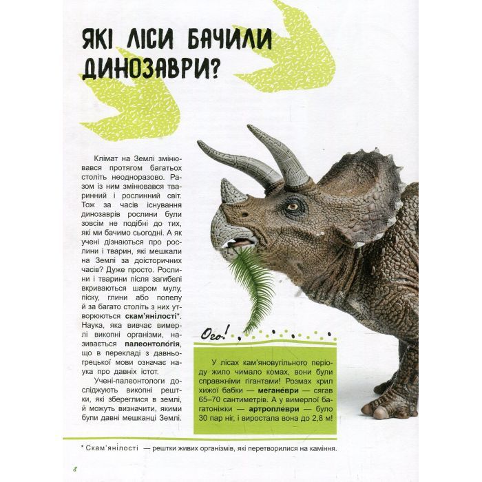 Книга Світ і його таємниці. Життя лісу. Енциклопедія - Г.В. Стороженко Ранок (9786170944399) изображение 9
