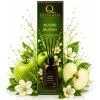 Аромадифузор Quesada Зелене яблуко 100 мл (4823135701255) зображення 3