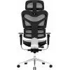 Офісне крісло GT Racer X-702 Light Gray (X-702 Light Gray (W17-1)) зображення 5