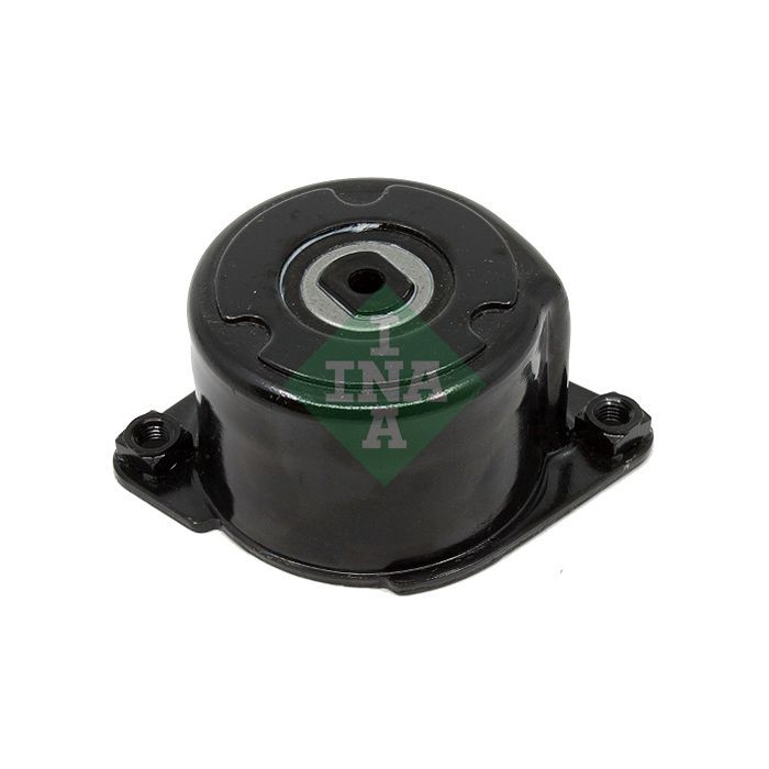 Натяжитель ремня с роликом INA 534 0170 10