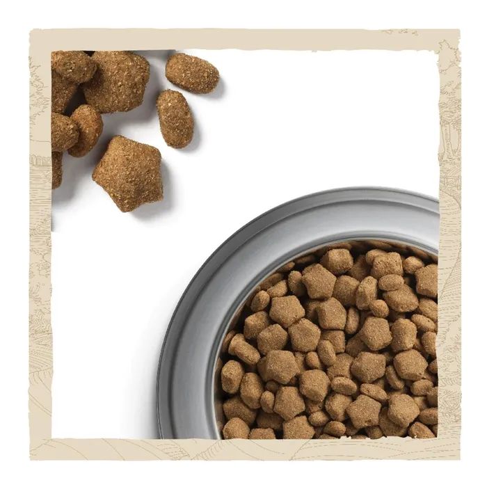 Сухой корм для собак Purina Dog Chow для взрослых, склонных к аллергии собак с лососем 2.5 кг (7613034488268) изображение 10