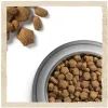 Сухой корм для собак Purina Dog Chow для взрослых, склонных к аллергии собак с лососем 2.5 кг (7613034488268) изображение 10