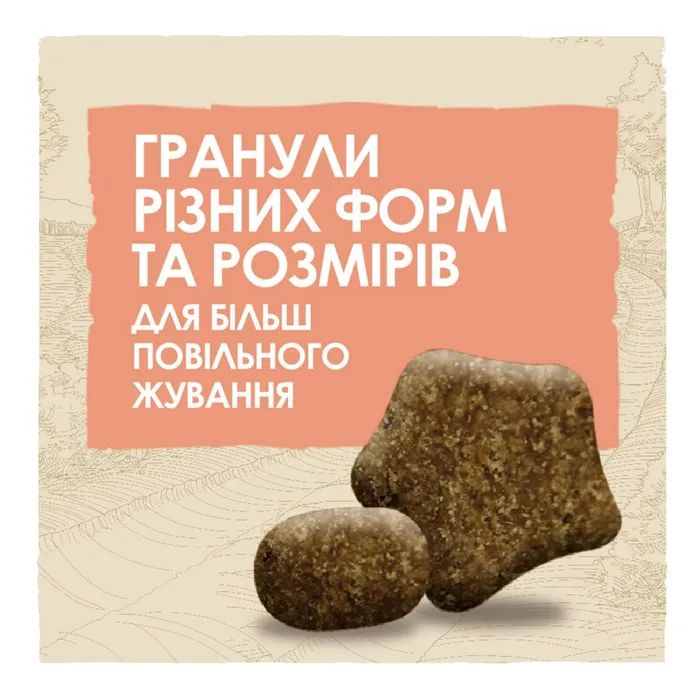 Сухой корм для собак Purina Dog Chow для взрослых, склонных к аллергии собак с лососем 2.5 кг (7613034488268) изображение 8