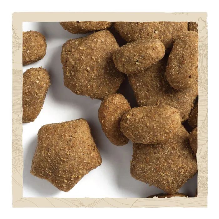 Сухой корм для собак Purina Dog Chow для взрослых, склонных к аллергии собак с лососем 2.5 кг (7613034488268) изображение 9