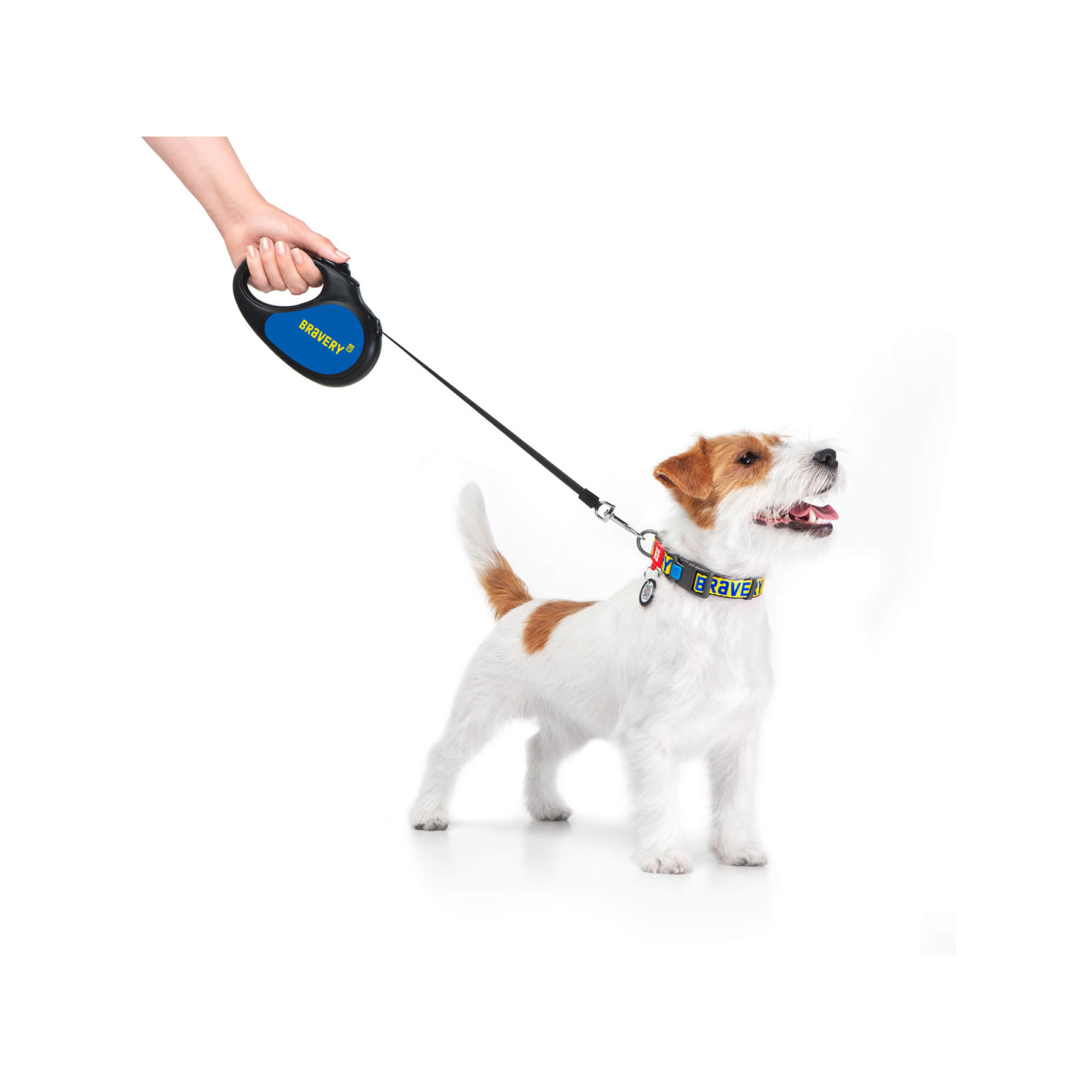 Повідок для собак WAUDOG R-leash "Сміливість" M до 25 кг 5 м чорний (8125-0231-01) зображення 7