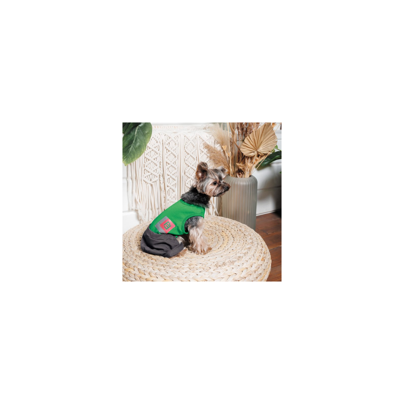 Костюм для животных Pet Fashion Aleks XS2 (4823082430543) изображение 2
