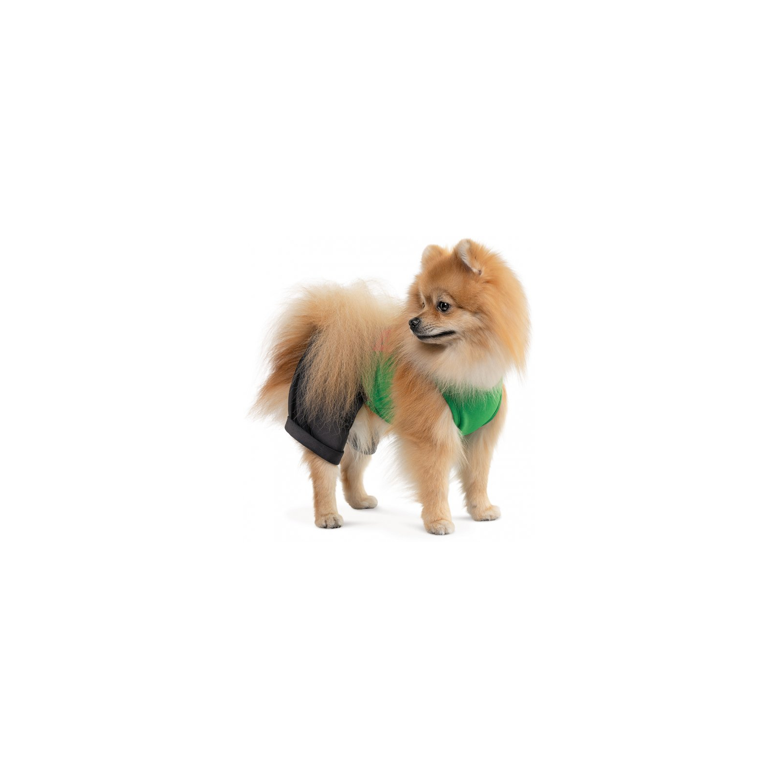Костюм для животных Pet Fashion Aleks XS2 (4823082430543) изображение 3