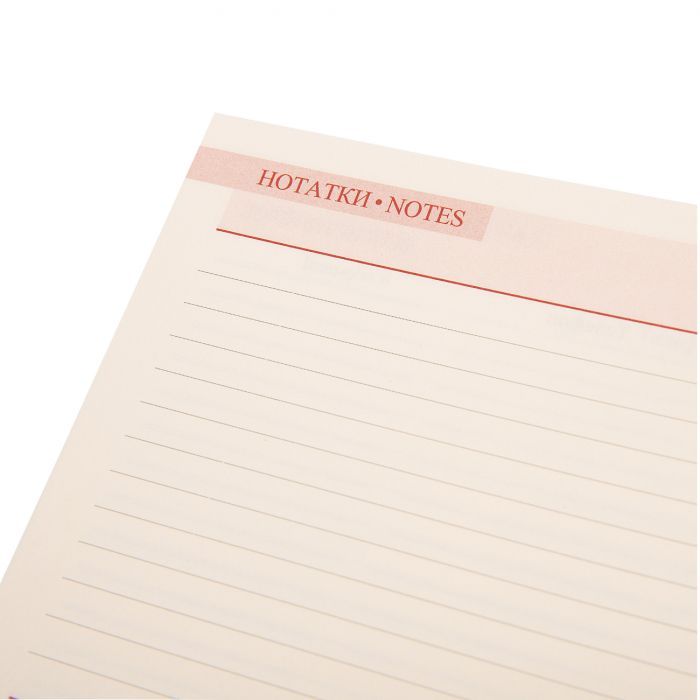 Еженедельник Leo planner датированный 2025 Cioccolato 10х15 см 128 страниц (252570) изображение 6