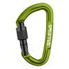 Карабін туристичний Salewa Hot G3 Screw 1724 5810 - UNI - зелений (013.003.1323)