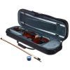 Скрипка Stentor Graduate Violin Outfit 4/4 (1542A) изображение 3