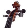 Скрипка Stentor Graduate Violin Outfit 4/4 (1542A) изображение 6