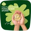 Гігієнічні прокладки Naturella Ultra Night Plus 12 шт. (8700216882347) зображення 8
