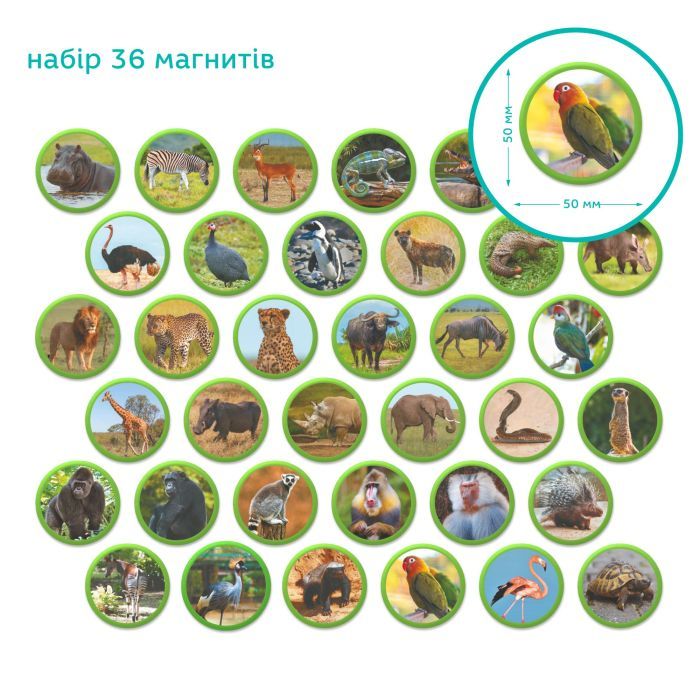 Навчальний набір DoDo Магнітний набір Монтесорі Тварини на континентах: Африка (200284) зображення 4