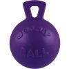 Игрушка для собак Jolly Pets Tug-n-Toss Гиря фиолетовая 25 см (0788169051056)