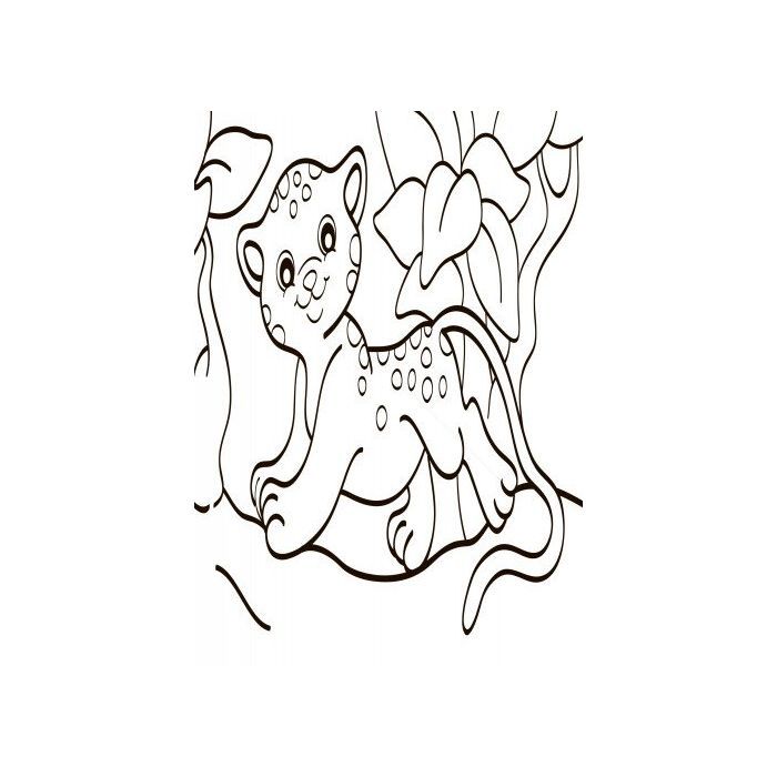 Книга Водна розмальовка. Екзотичні тварини Ранок (9789667484392) изображение 3