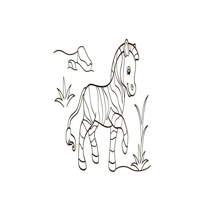 Книга Водна розмальовка. Екзотичні тварини Ранок (9789667484392) изображение 5