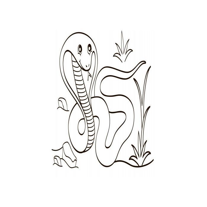 Книга Водна розмальовка. Екзотичні тварини Ранок (9789667484392) изображение 7