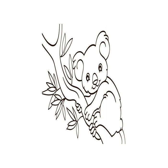 Книга Водна розмальовка. Екзотичні тварини Ранок (9789667484392) изображение 9