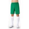 Шорти Joma Nobel 100053.450 зелений S (9995138944061) зображення 3