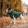 Курточка для тварин WAUDOG Re-clothes двостороння, з переробленого поліестеру L65 смарагдова (191728) зображення 6