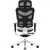 Офісне крісло GT Racer X-782 Light Gray (X-782 Light Gray (W17-1)) зображення 5