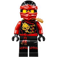 Конструктор LEGO Ninjago Цитадель несчастий (70605) изображение 10