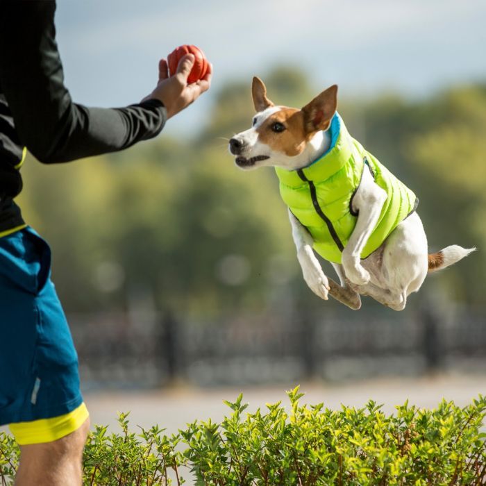 Курточка для животных Airy Vest двусторонняя XS 25 салатово-голубая (1597) изображение 10