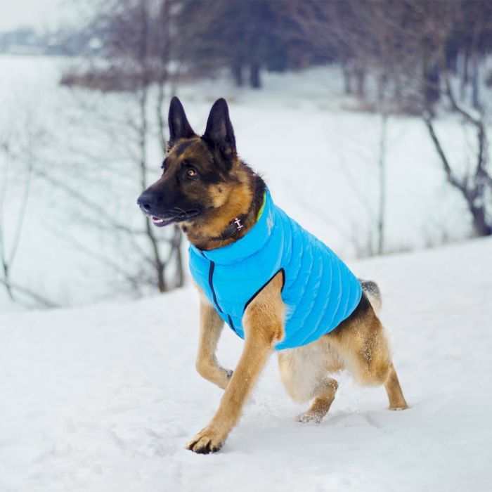 Курточка для животных Airy Vest двусторонняя XS 25 салатово-голубая (1597) изображение 6