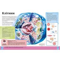 Книга Дитяча енциклопедія тіла людини - Клер Гібберт Vivat (9789669429889) зображення 3