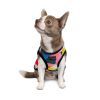 Борцівка для тварин Pet Fashion Cool M різнобарвна (4823082420193) зображення 3