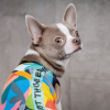 Борцовка для животных Pet Fashion Cool M разноцветная (4823082420193) изображение 5