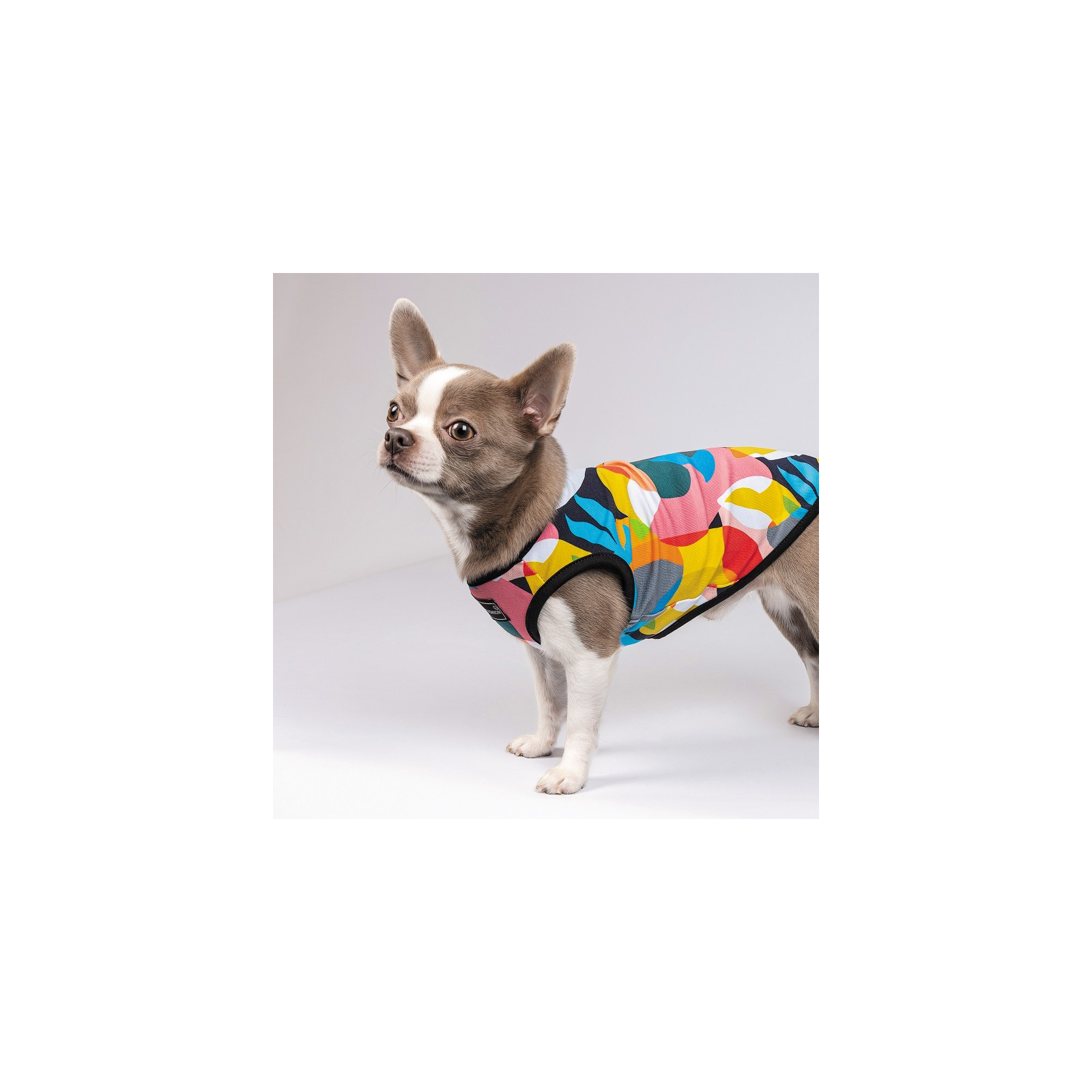 Борцовка для животных Pet Fashion Cool M разноцветная (4823082420193) изображение 6