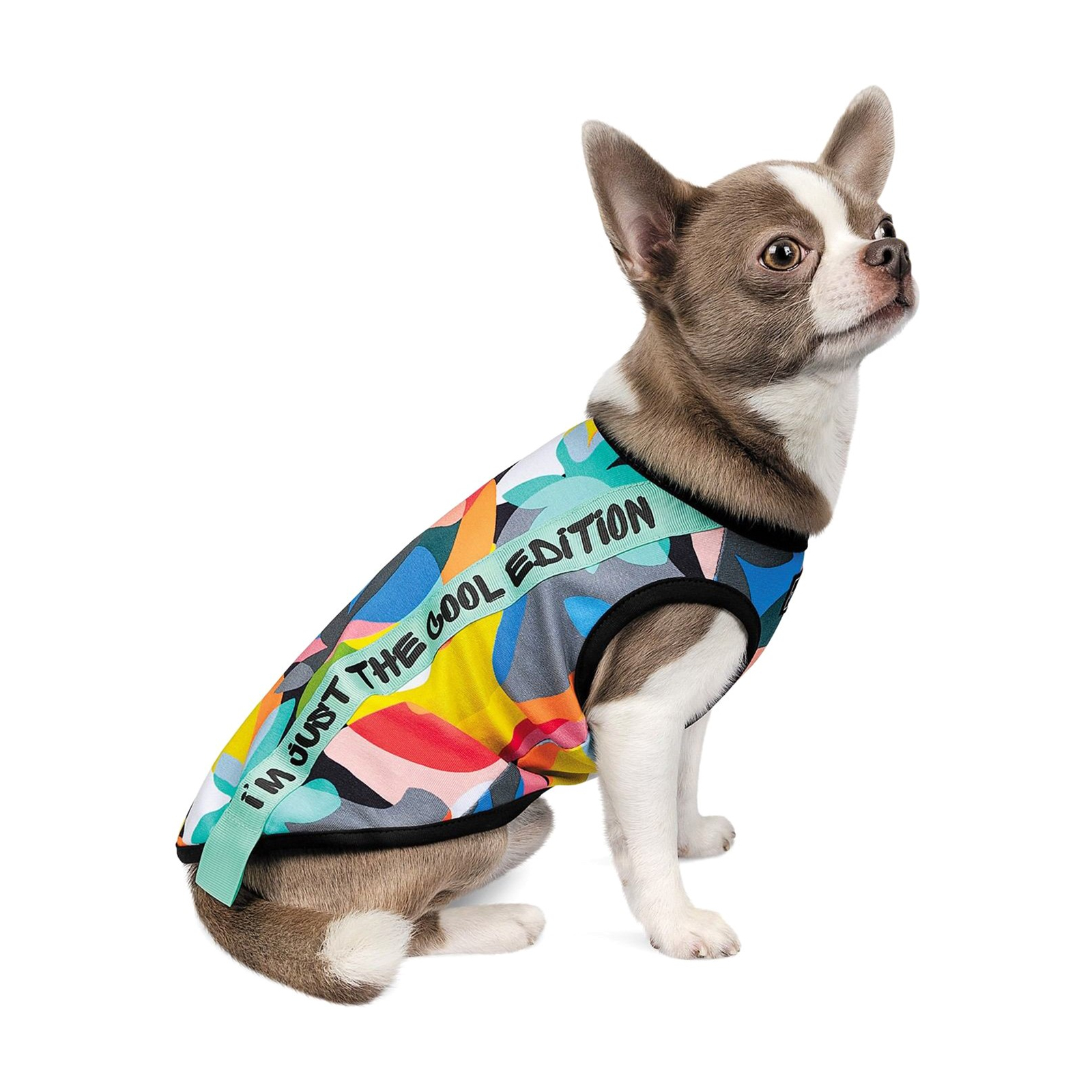 Борцовка для животных Pet Fashion Cool XS2 разноцветная (4823082420179)