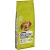 Сухий корм для собак Purina Dog Chow Adult Lamb зі смаком ягняти 14 кг (7613034487636)