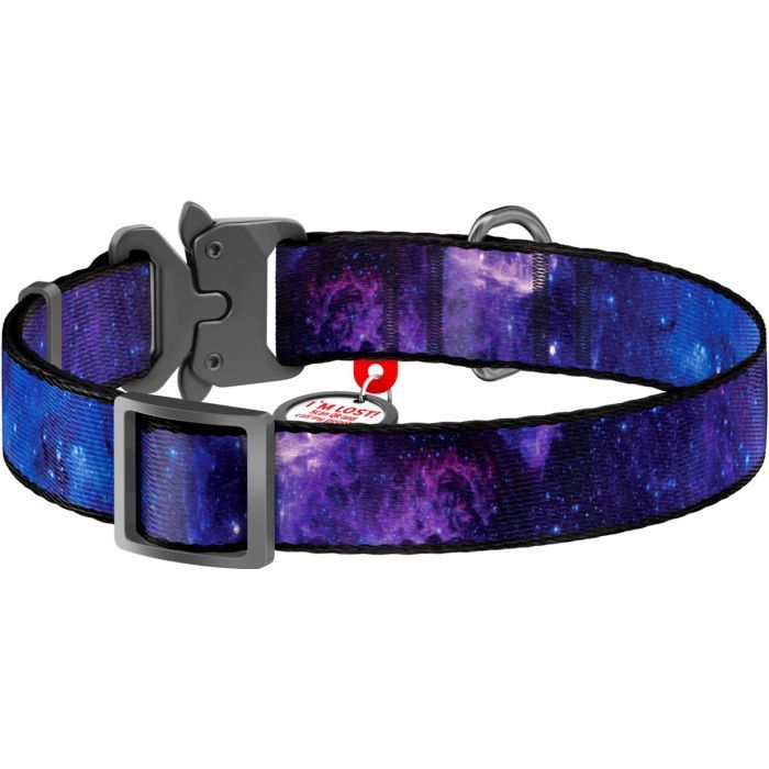 Ошейник для животных WAUDOG Nylon с QR паспортом "NASA21" металлическая пряжка-фастекс S (4506-0148) изображение 2