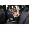 Автокрісло Lionelo Bastiaan i-Size Black Red, чорне з червоним (LO-BASTIAAN I-SIZE BLACK RED) зображення 8