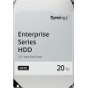 Жесткий диск для сервера Synology 3.5" 20TБ SAS 7200 (HAS5310-20T)