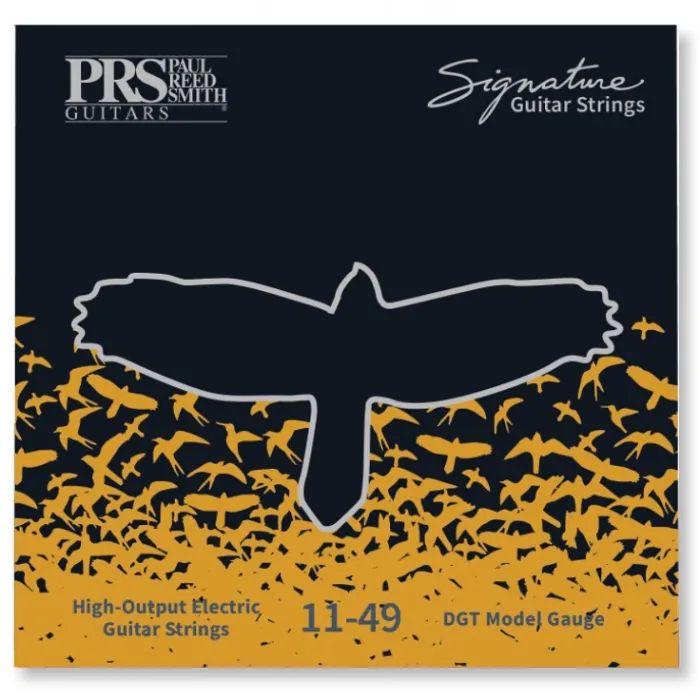 Струны для гитары PRS Signature David Grissom Guitar Strings (11-49) (100148004001004)
