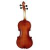 Скрипка Stentor Graduate Violin Outfit 3/4 (1542C) изображение 2