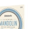 Струни для гітари D'Addario Mandolin 80/20 Bronze Light (10-34) (EJ62) зображення 4