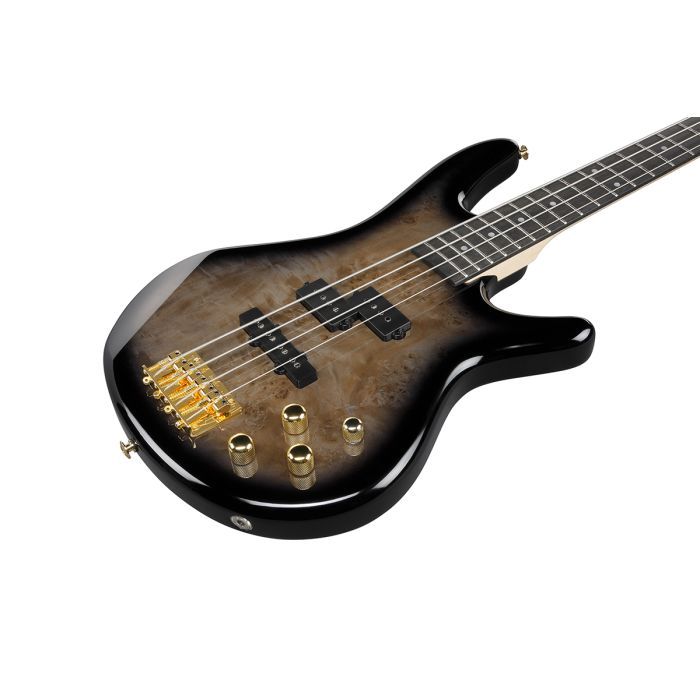 Бас-гитара Ibanez GSR200PC TPB (236059) изображение 4