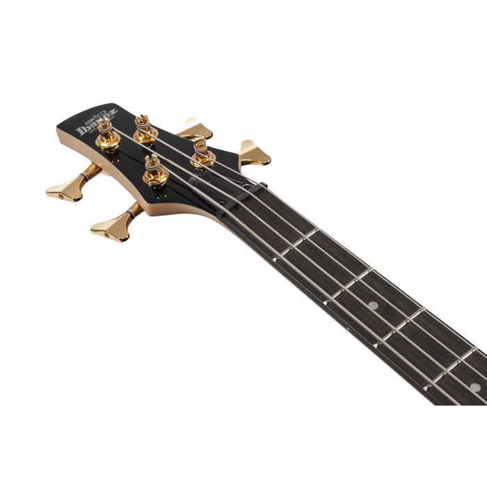 Бас-гитара Ibanez GSR200PC TPB (236059) изображение 6
