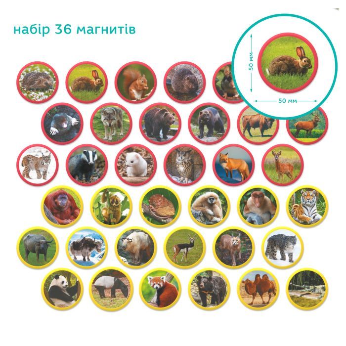 Навчальний набір DoDo Магнітний набір Монтесорі Тварини на континентах: Євразія (200285) зображення 4