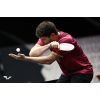 Ракетка для настольного тенниса Butterfly Ovtcharov Prime Carbon FL (6116500002) (931823) изображение 6
