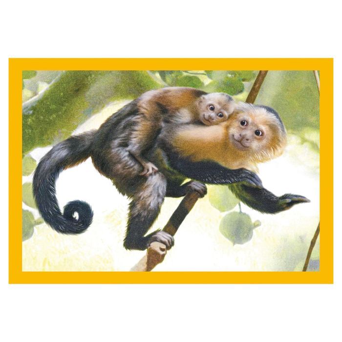 Пазл Clementoni 4 в 1 Baby Cuddles, 12,16,20 и 24 элемента (21532) изображение 3